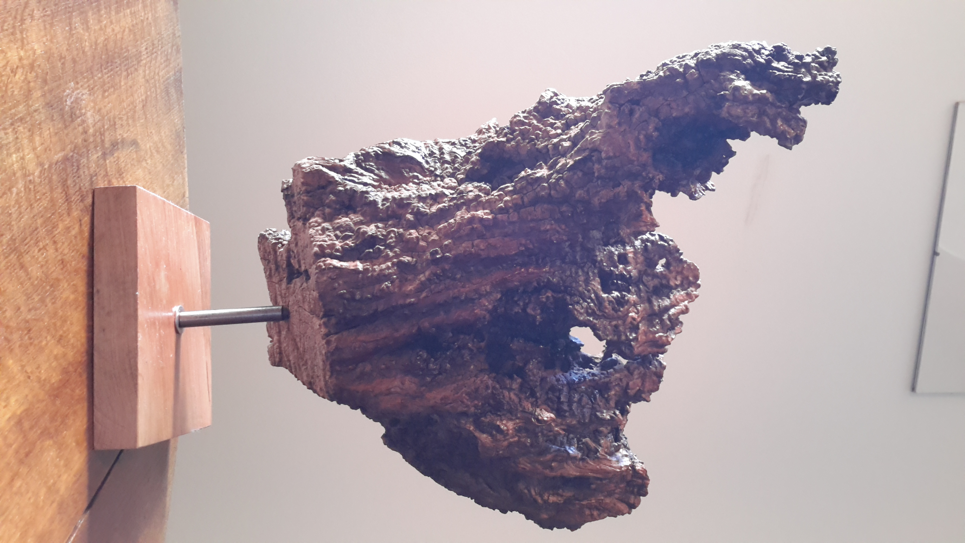 Nature morte3
