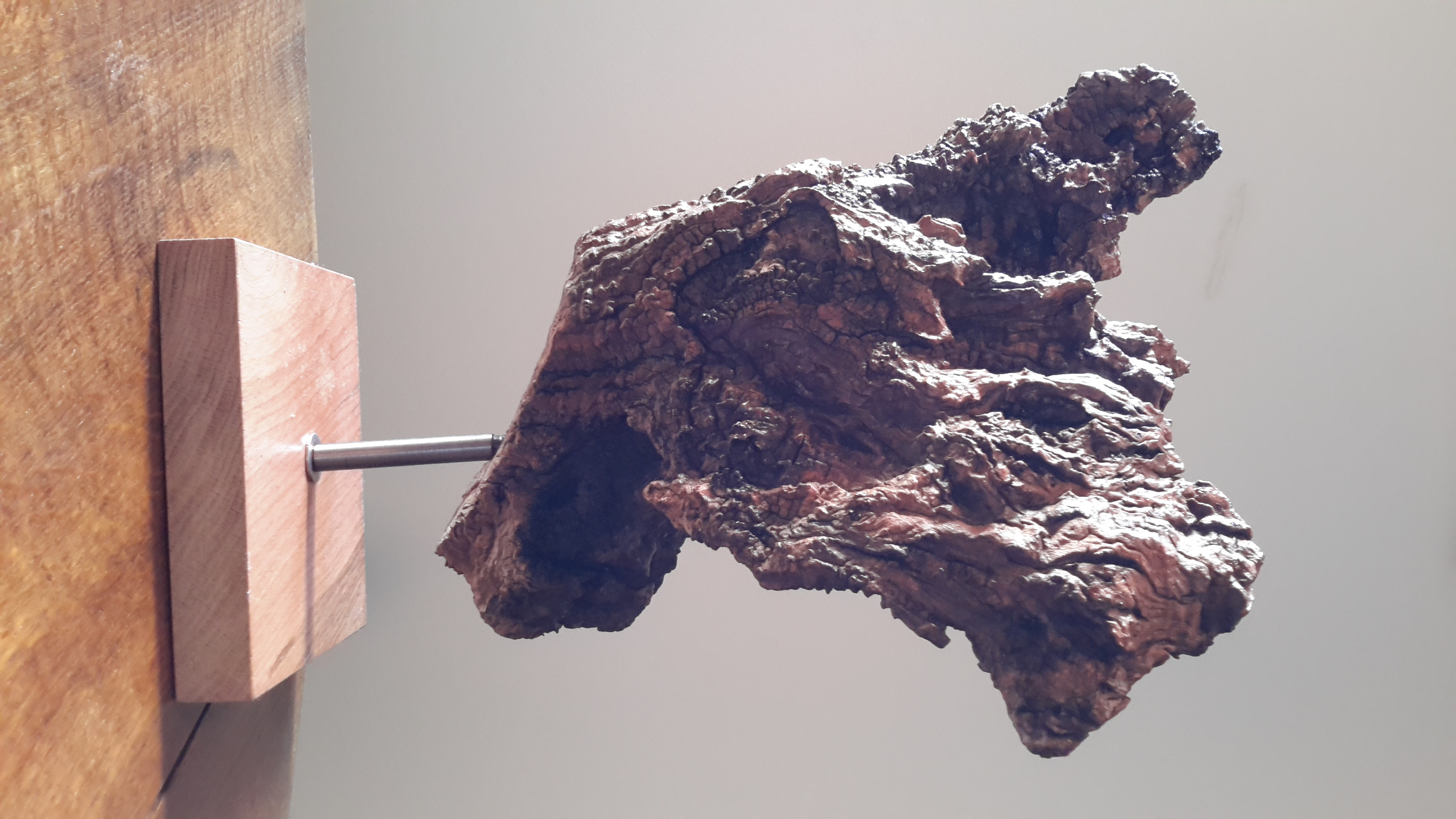 Nature morte4