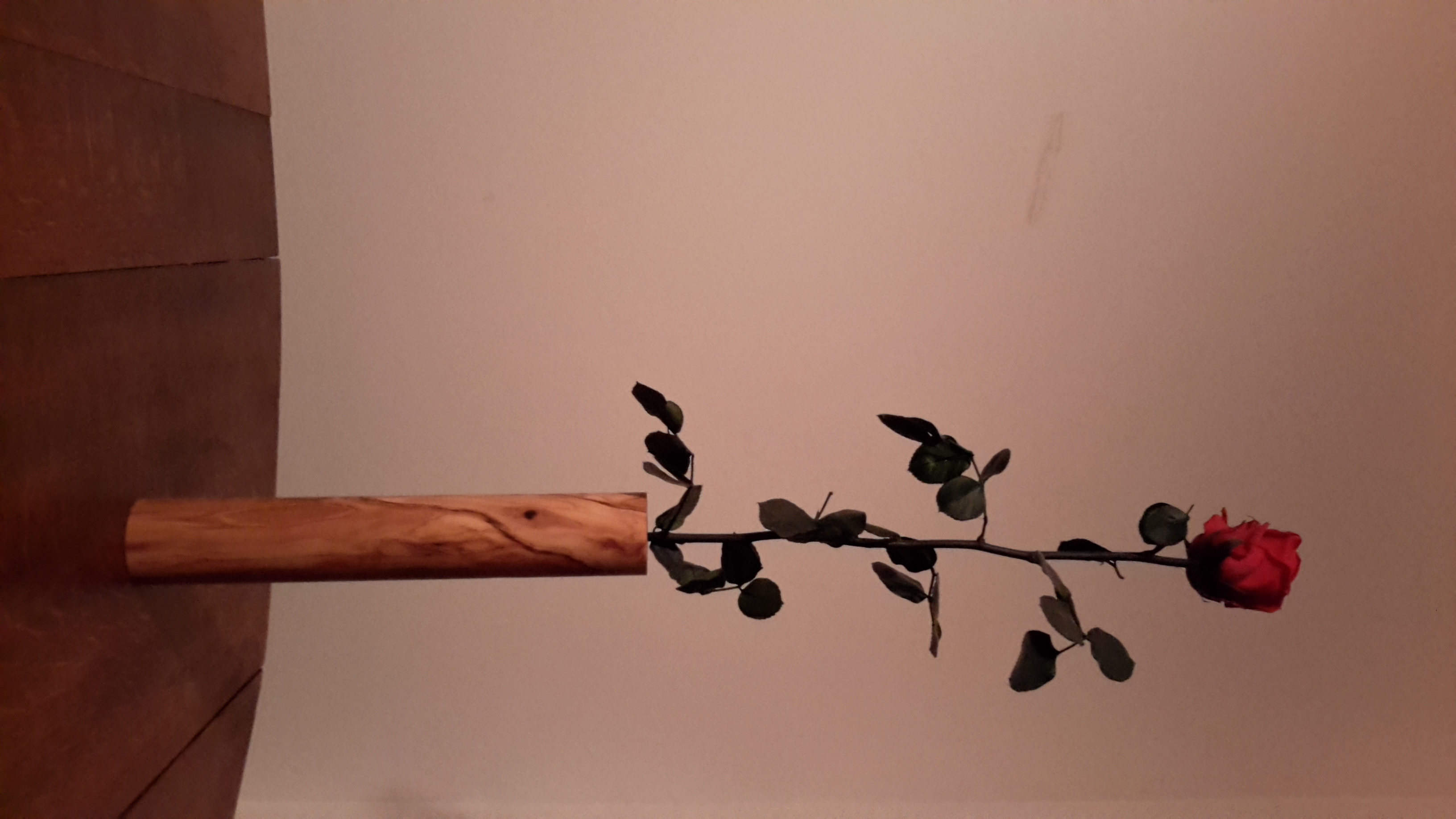 Vase uniflore cylindrique en olivier3