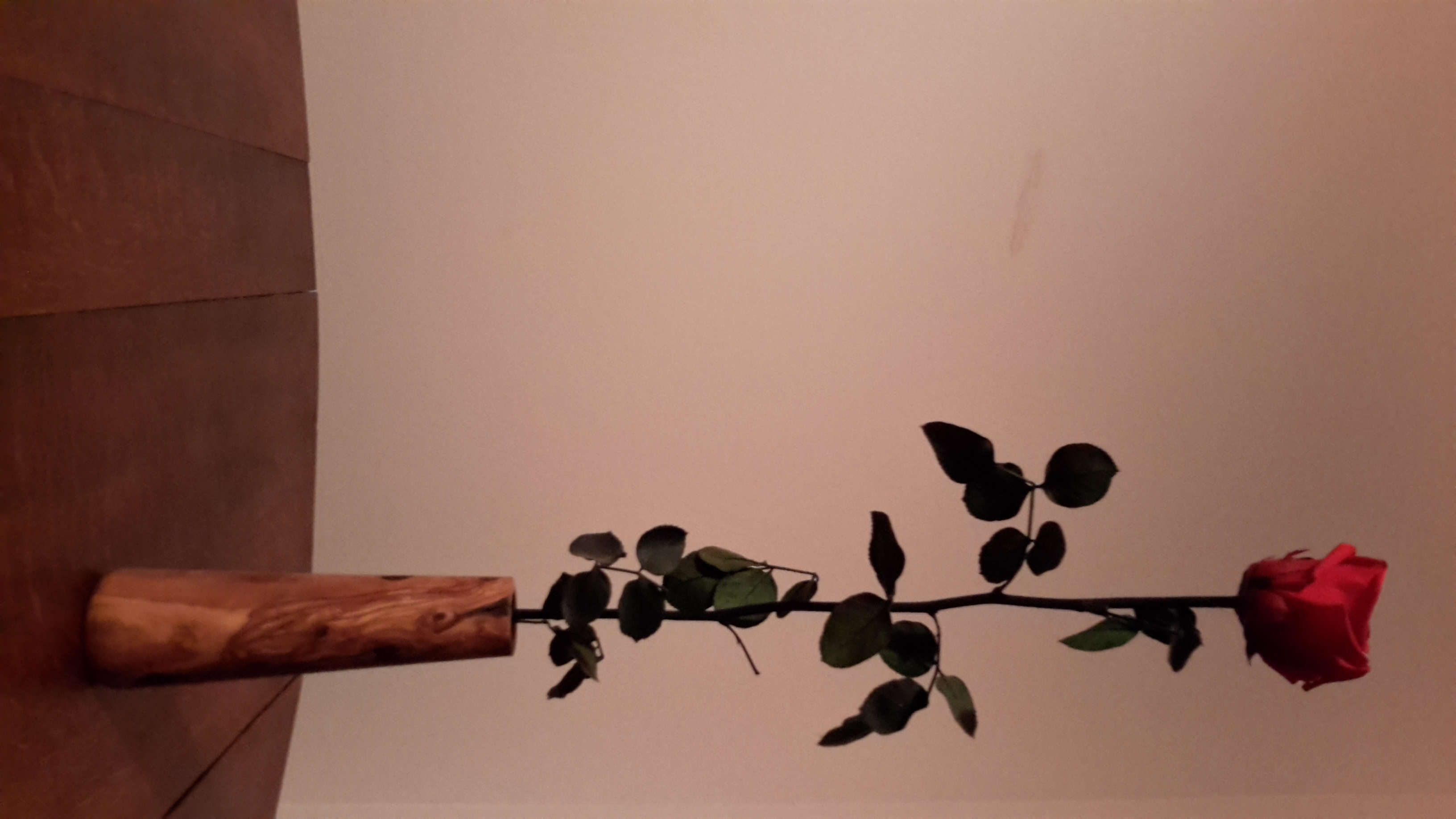 Vase conique uniflore en olivier2