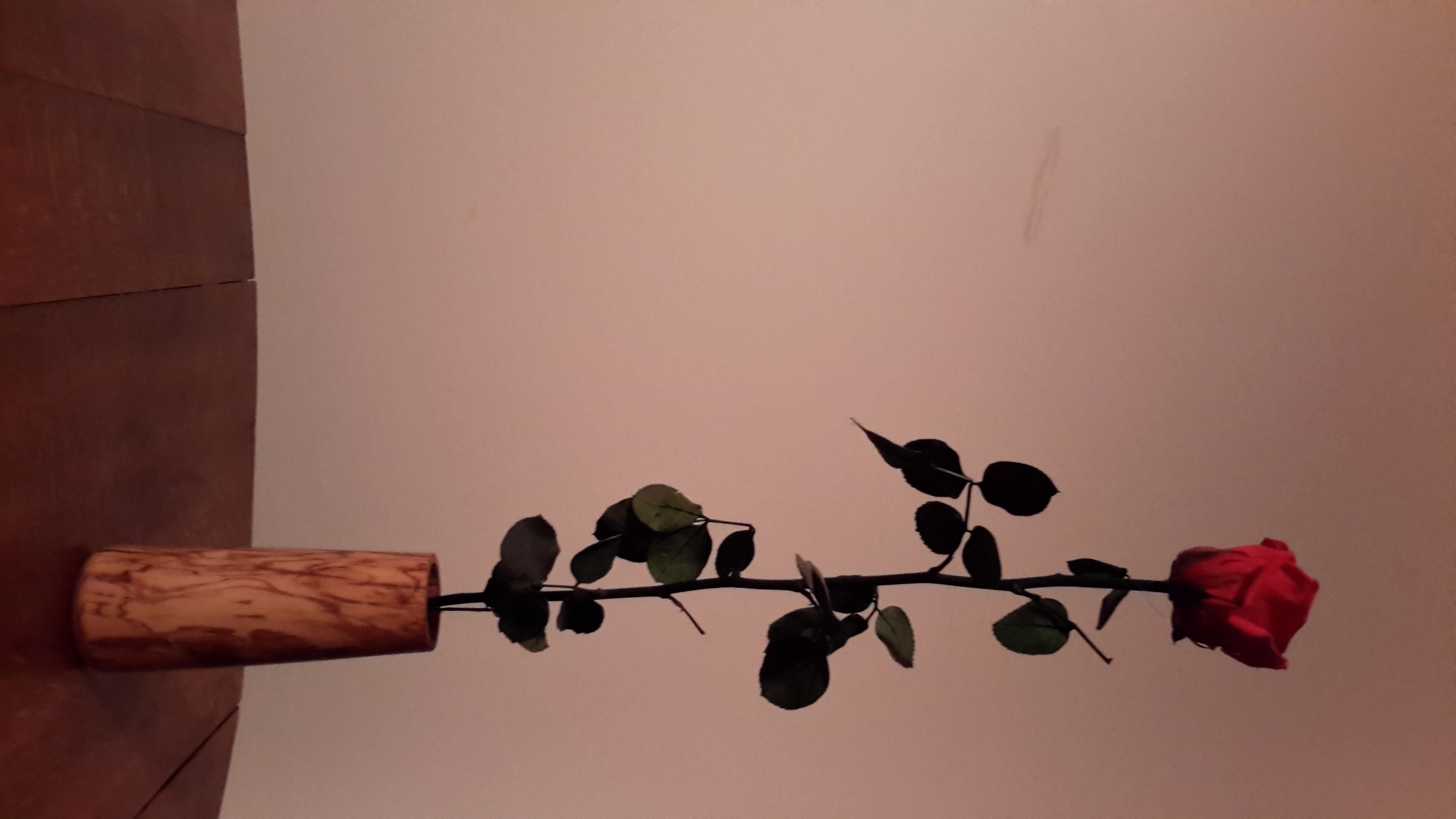 Vase uniflore conique en olivier3