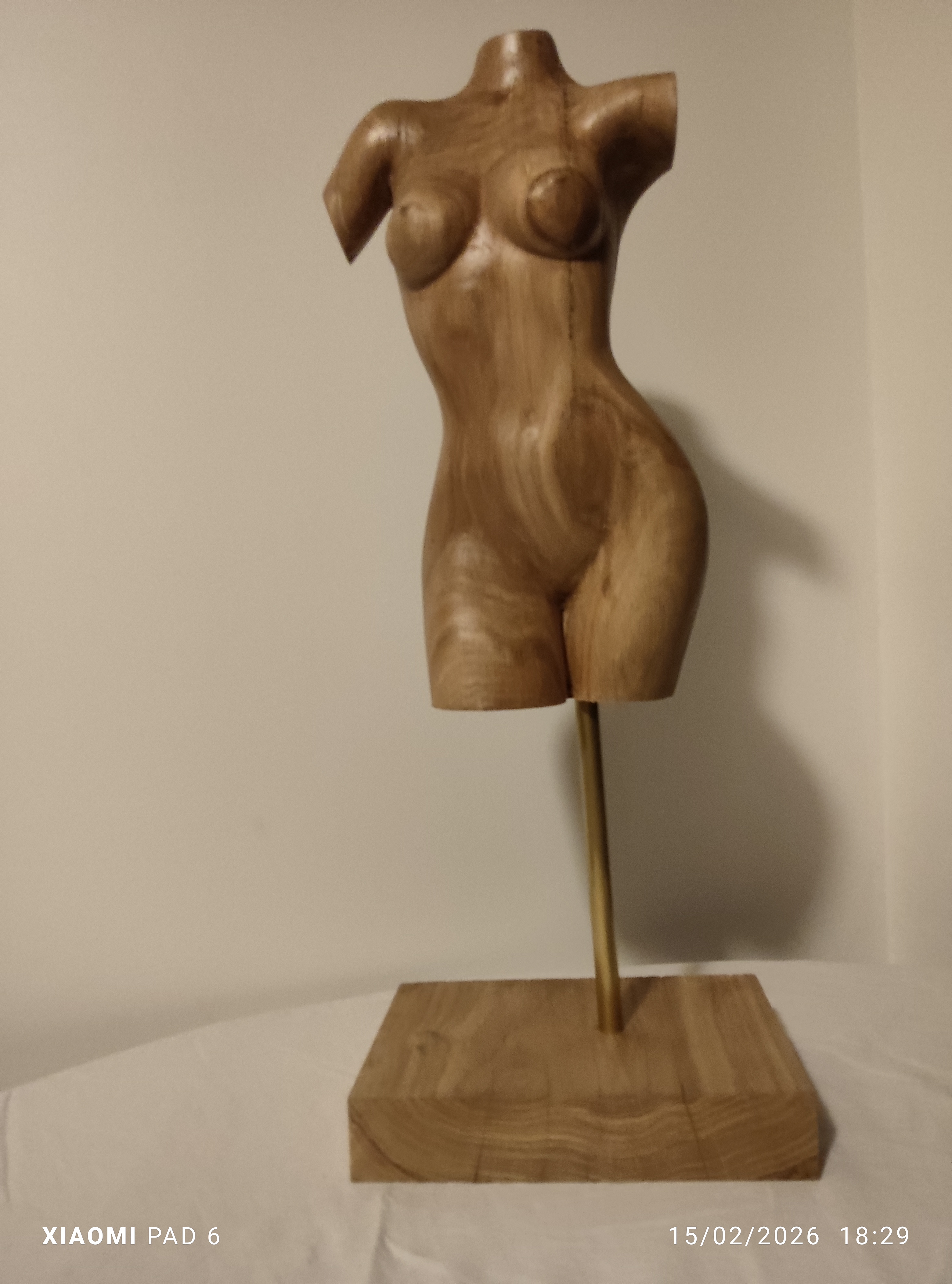 Buste de femme (Eva)1