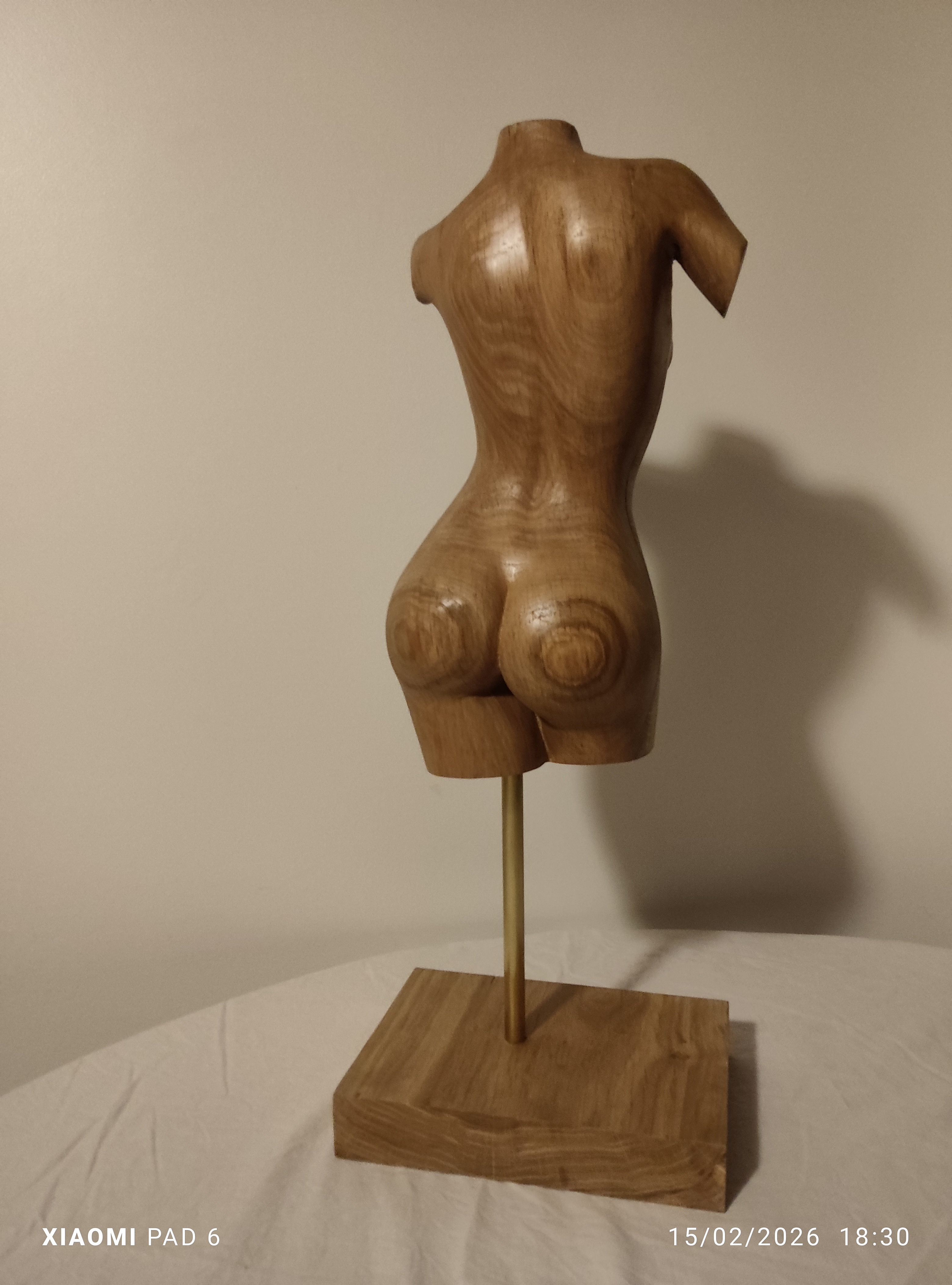 Buste de femme (Eva)3