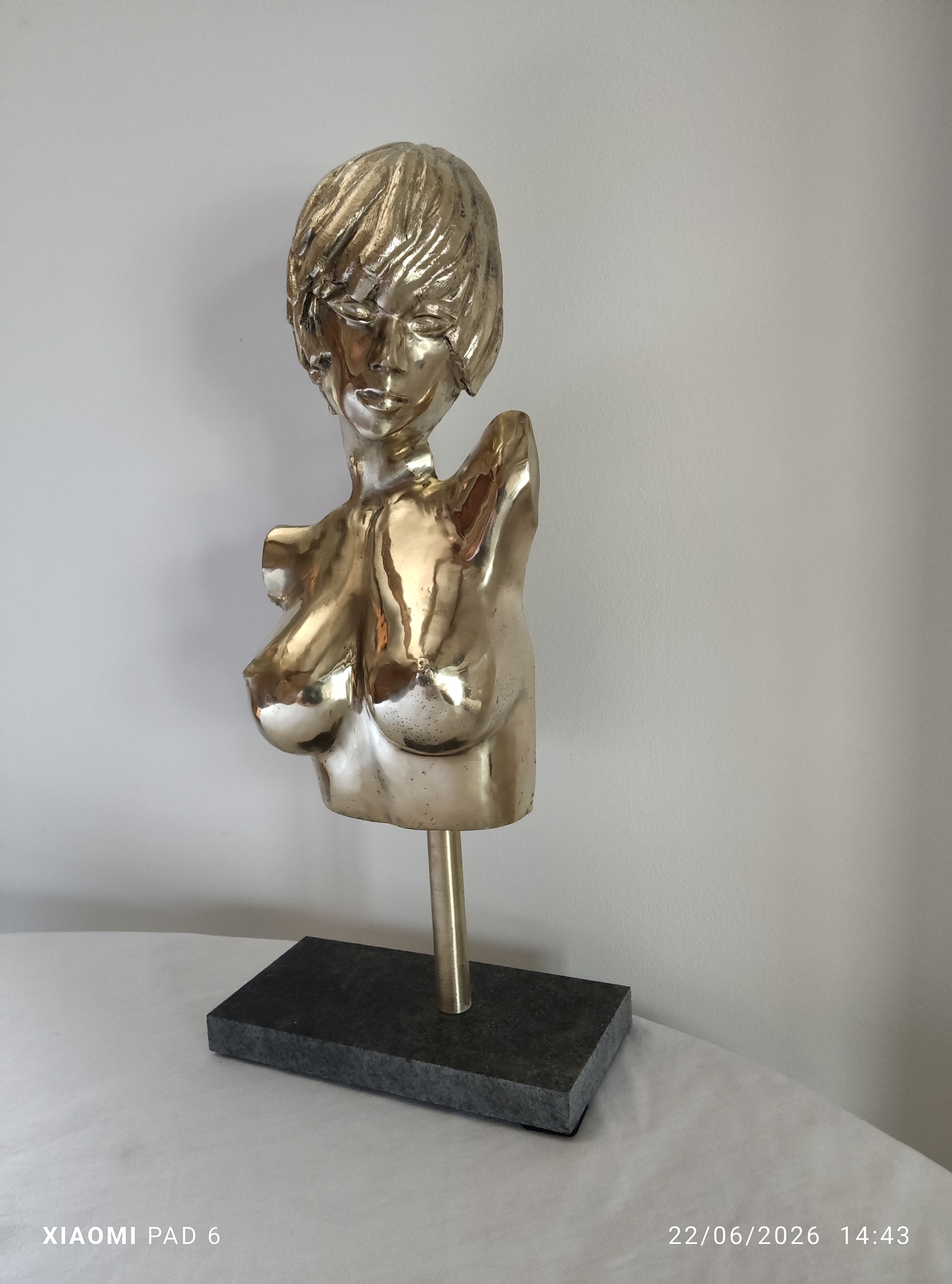 Buste de femme (Sophie)3