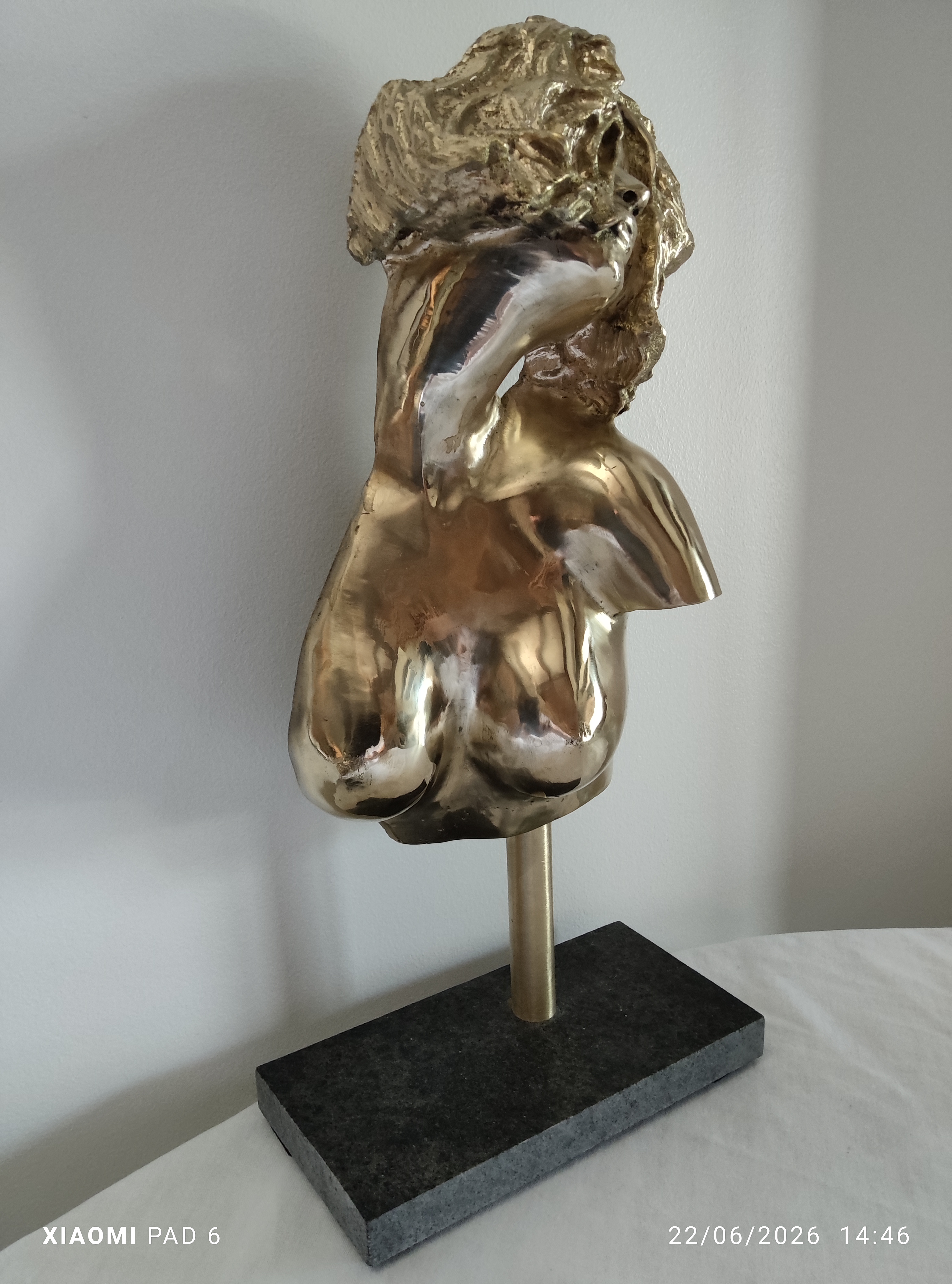 Buste de femme (Léa)3