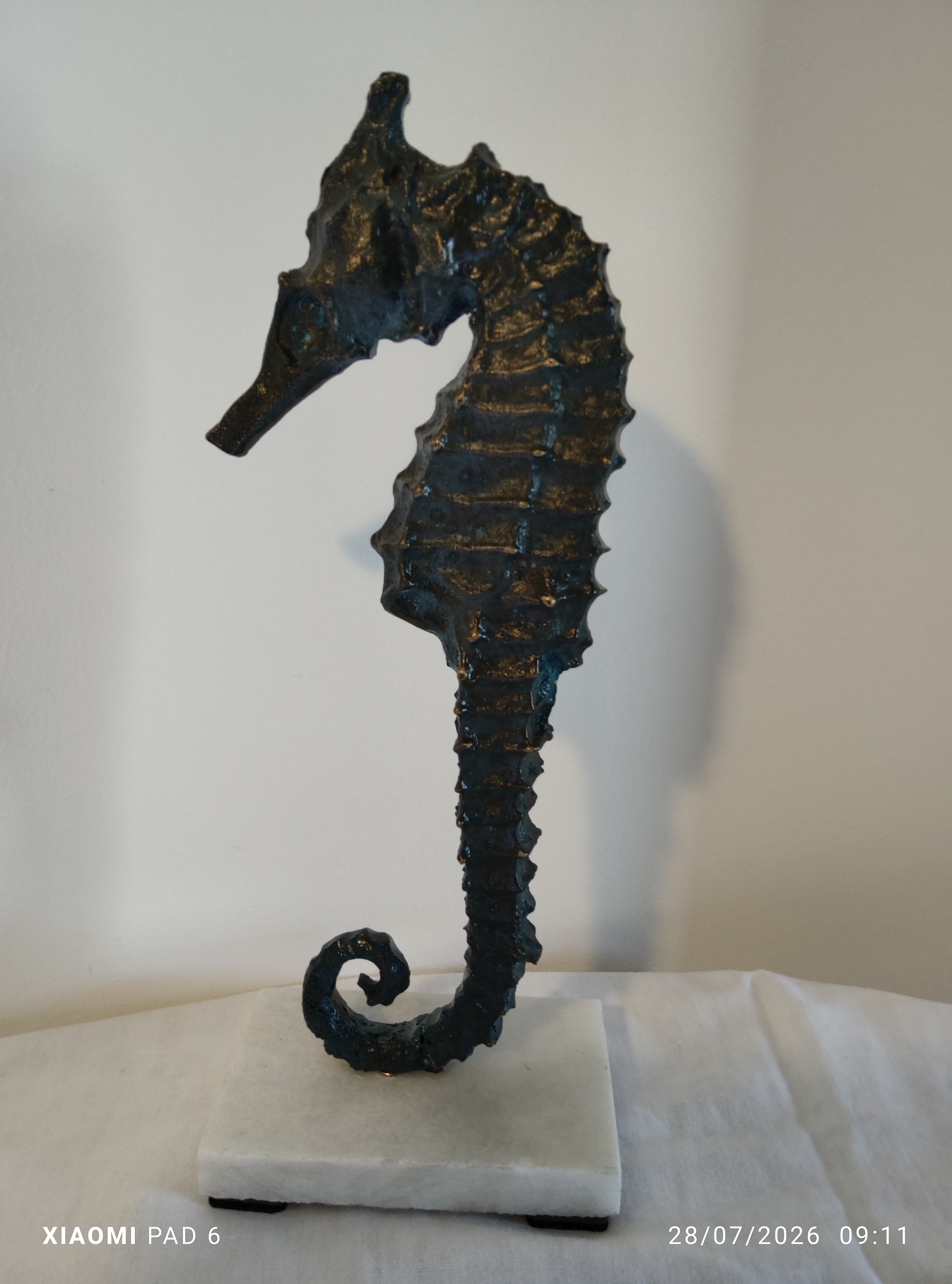 Grand Hippocampe1