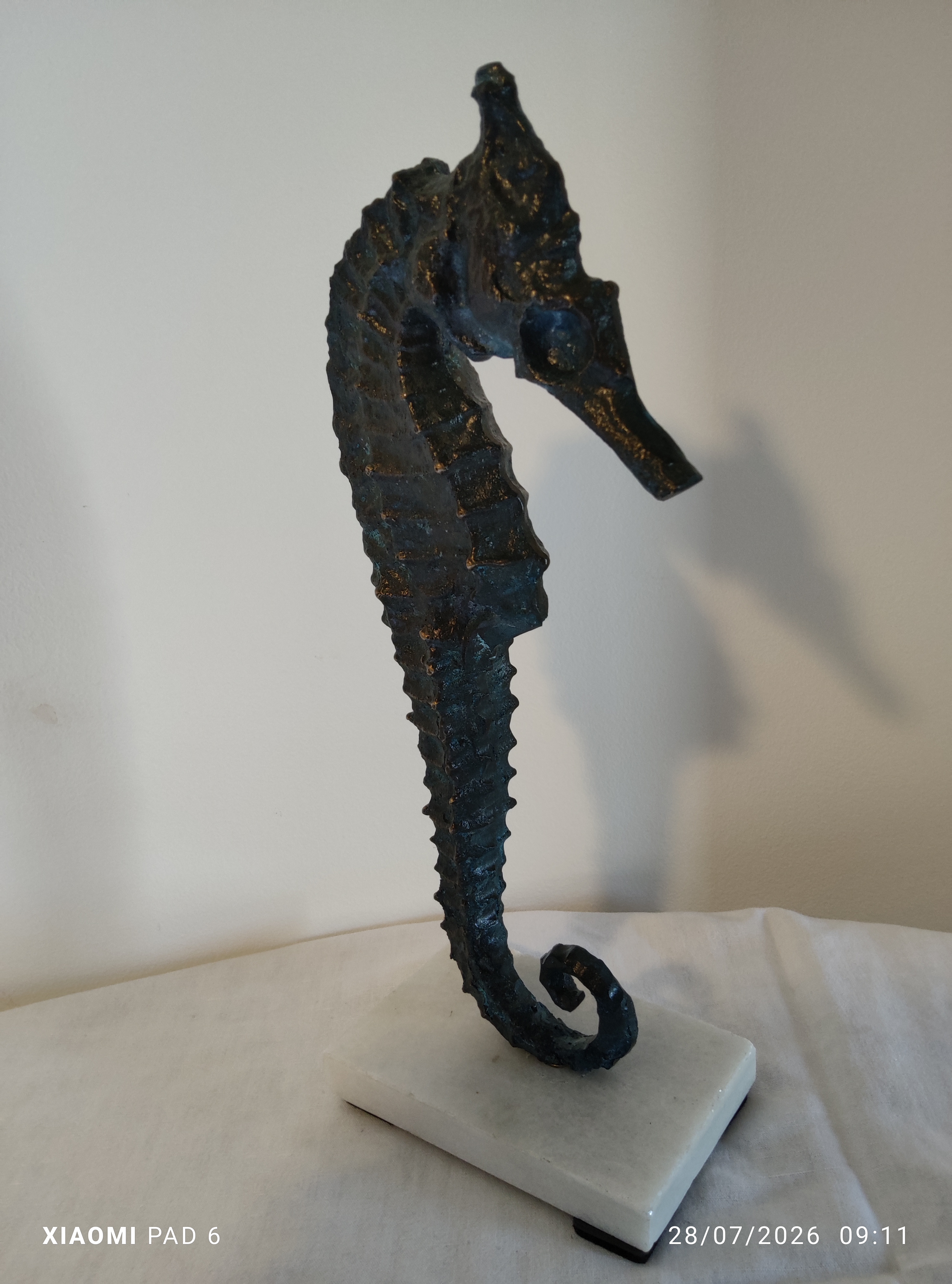 Grand Hippocampe3