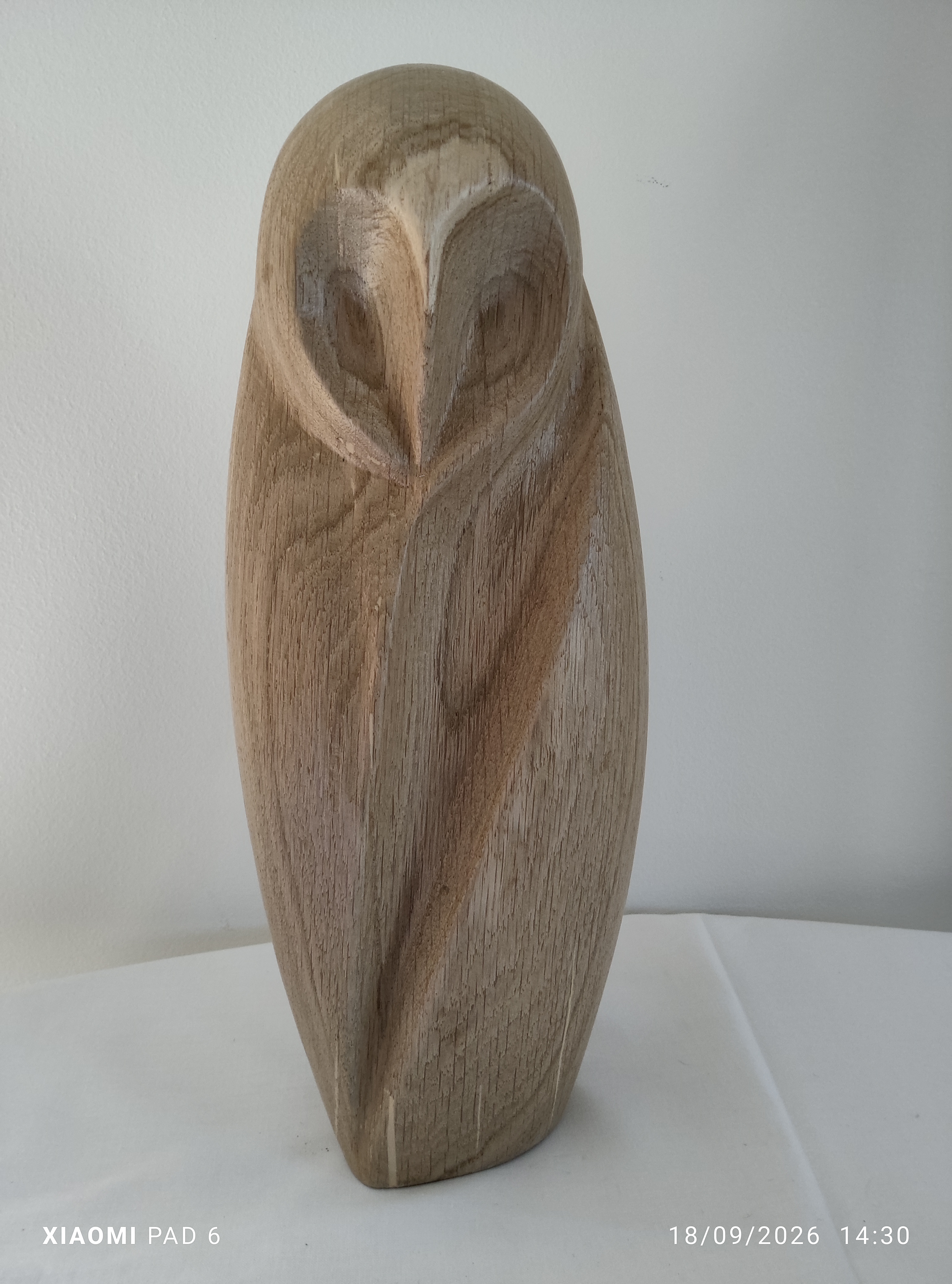 Hibou1