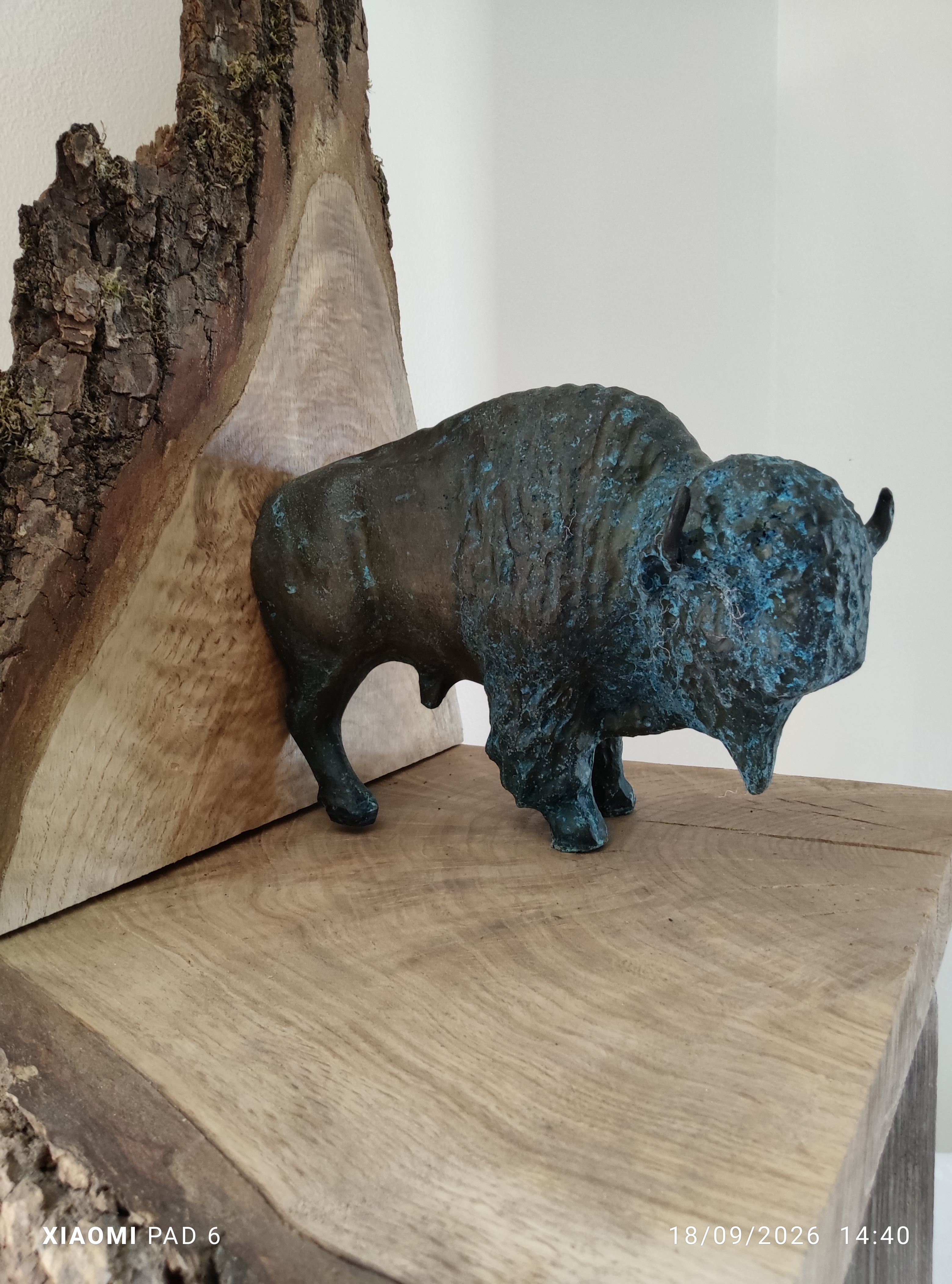Bison1