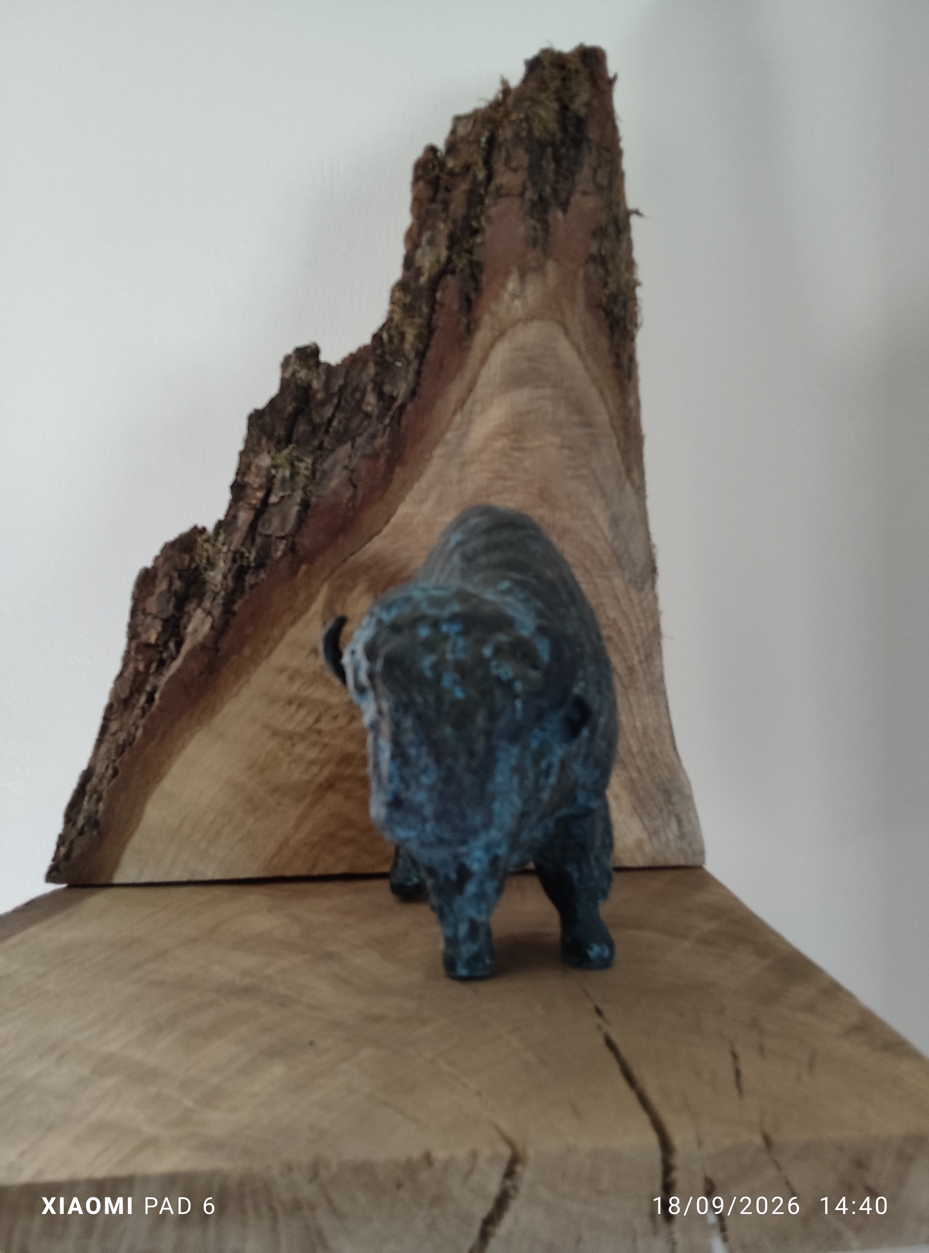Bison2