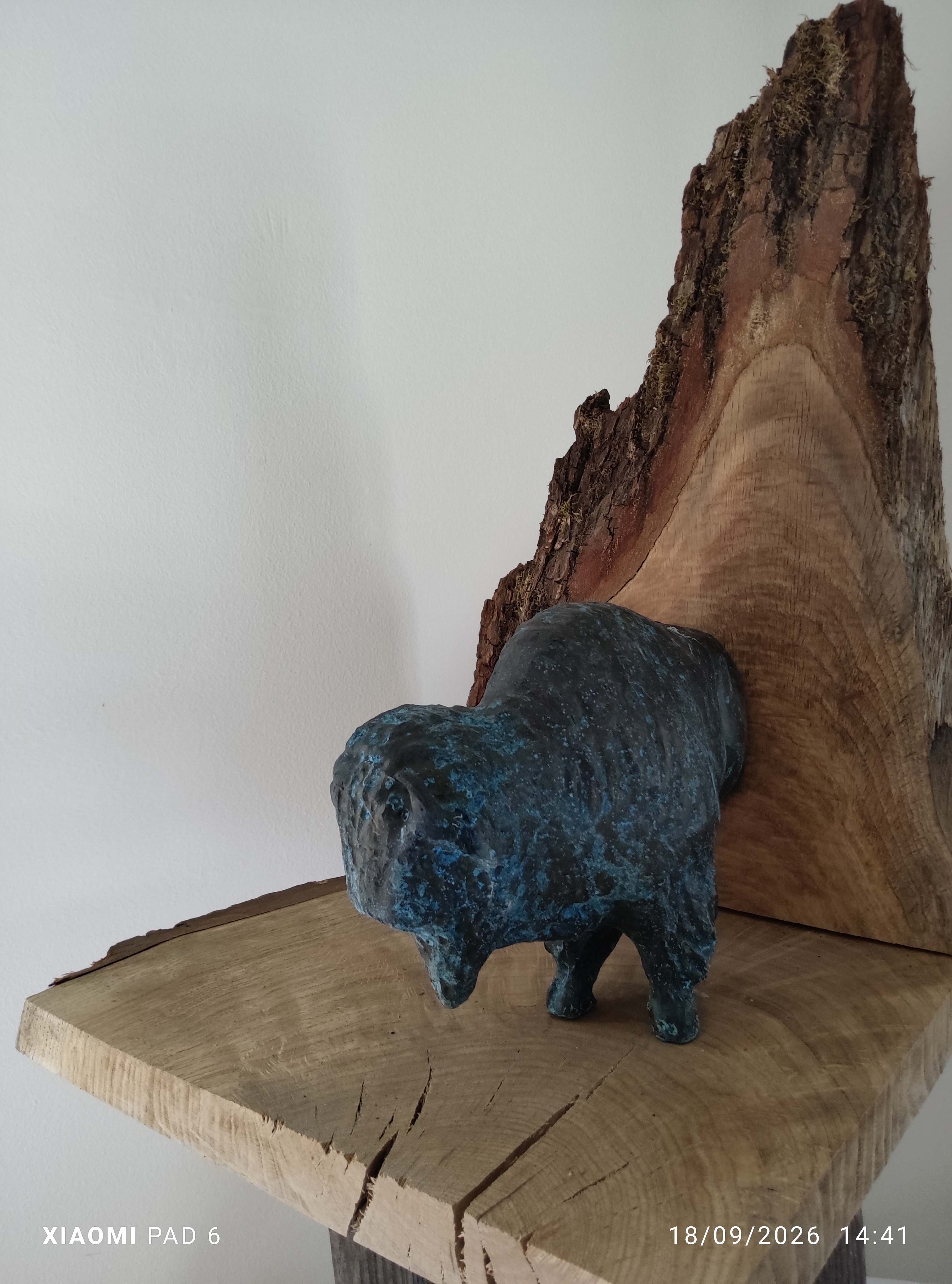 Bison3